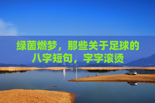 绿茵燃梦,那些关于足球的八字短句,字字滚烫