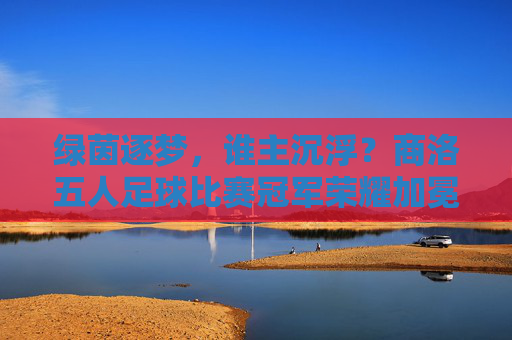 绿茵逐梦，谁主沉浮？商洛五人足球比赛冠军荣耀加冕