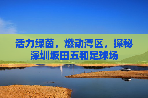 活力绿茵,燃动湾区,探秘深圳坂田五和足球场