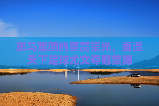 斑马军团的至高荣光，重温天下足球尤文夺冠集锦