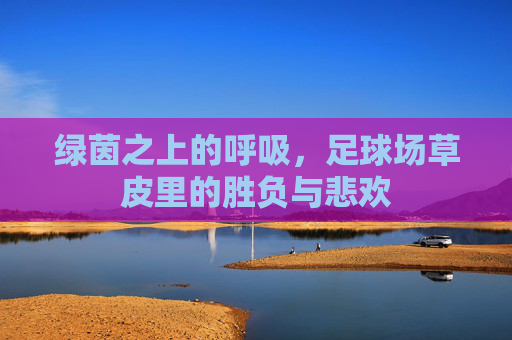绿茵之上的呼吸，足球场草皮里的胜负与悲欢