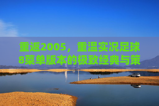 重返2005,重温实况足球8菜单版本的极致经典与策略之美
