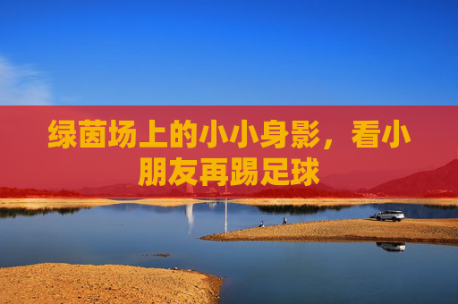 绿茵场上的小小身影，看小朋友再踢足球