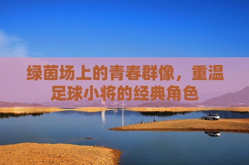 绿茵场上的青春群像,重温足球小将的经典角色