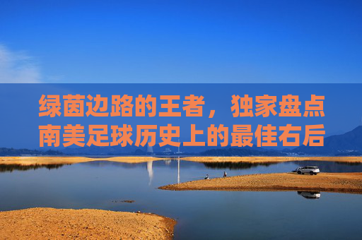 绿茵边路的王者,独家盘点南美足球历史上的最佳右后卫