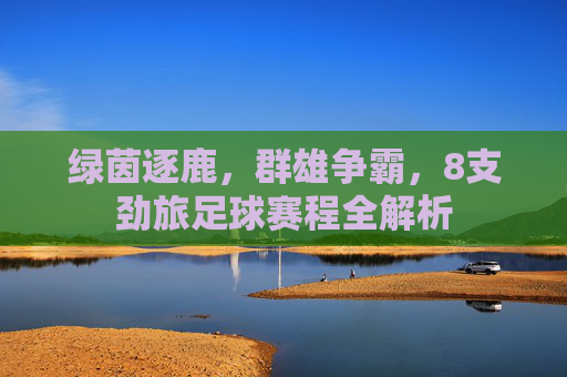 绿茵逐鹿，群雄争霸，8支劲旅足球赛程全解析