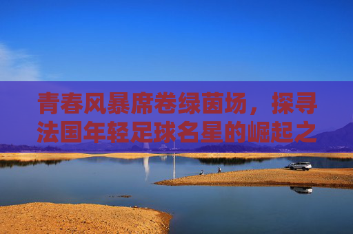 青春风暴席卷绿茵场,探寻法国年轻足球名星的崛起之路