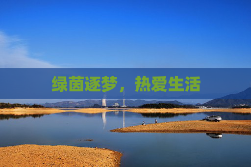 绿茵逐梦,热爱生活