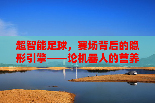 超智能足球，赛场背后的隐形引擎——论机器人的营养与能量