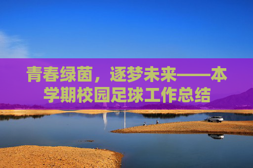 青春绿茵，逐梦未来——本学期校园足球工作总结