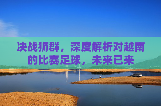 决战狮群,深度解析对越南的比赛足球,未来已来