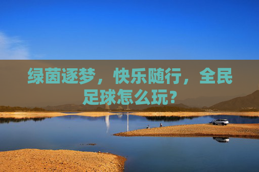 绿茵逐梦,快乐随行,全民足球怎么玩?