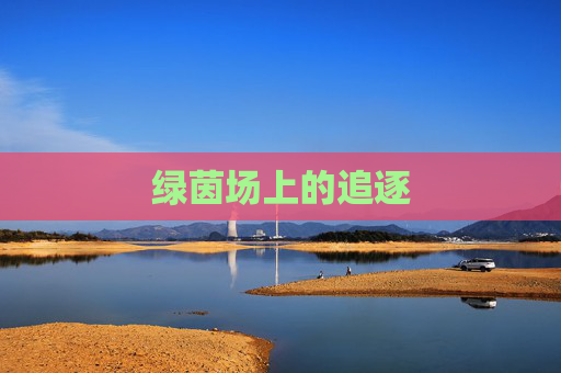 绿茵场上的追逐