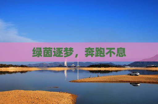 绿茵逐梦,奔跑不息