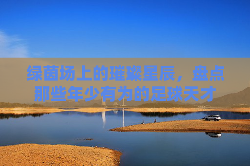 绿茵场上的璀璨星辰，盘点那些年少有为的足球天才