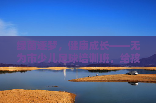 绿茵逐梦，健康成长——无为市少儿足球培训班，给孩子一个驰骋的童年