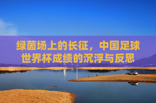 绿茵场上的长征，中国足球世界杯成绩的沉浮与反思