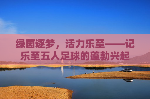 绿茵逐梦,活力乐至——记乐至五人足球的蓬勃兴起