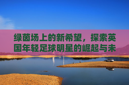 绿茵场上的新希望,探索英国年轻足球明星的崛起与未来