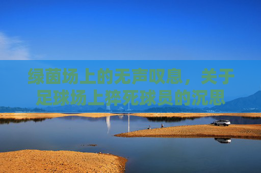 绿茵场上的无声叹息,关于足球场上猝死球员的沉思