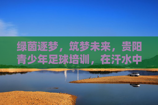 绿茵逐梦，筑梦未来，贵阳青少年足球培训，在汗水中铸就卓越品格