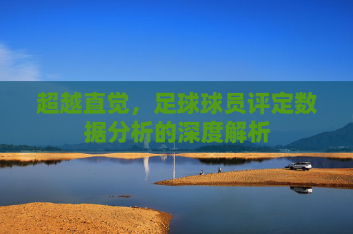 超越直觉，足球球员评定数据分析的深度解析