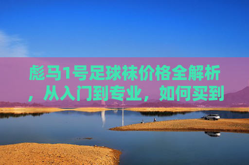 彪马1号足球袜价格全解析,从入门到专业,如何买到高性价比装备?