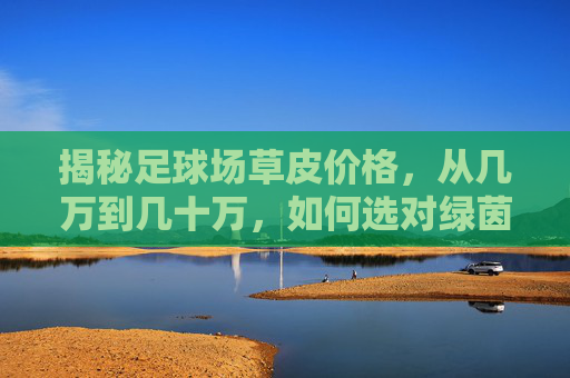 揭秘足球场草皮价格，从几万到几十万，如何选对绿茵毯？