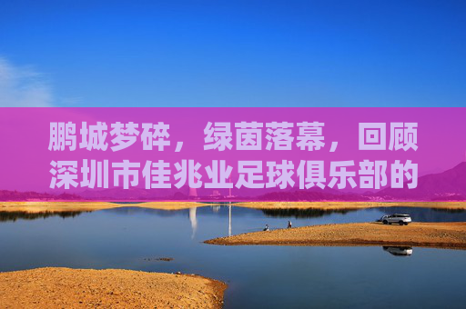 鹏城梦碎,绿茵落幕,回顾深圳市佳兆业足球俱乐部的兴衰路