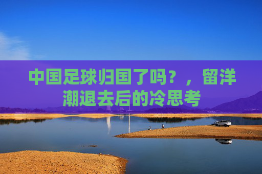 中国足球归国了吗？，留洋潮退去后的冷思考