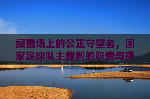绿茵场上的公正守望者,国家足球队主裁判的职责与挑战
