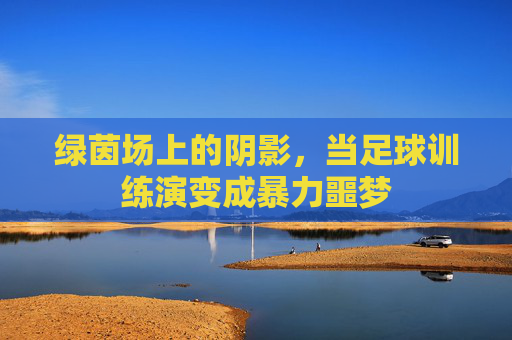 绿茵场上的阴影,当足球训练演变成暴力噩梦