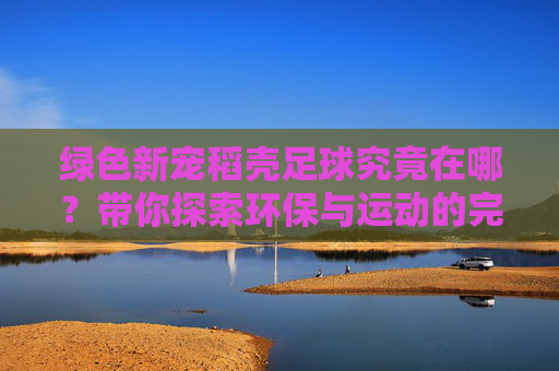 绿色新宠稻壳足球究竟在哪？带你探索环保与运动的完美结合