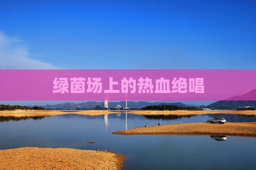 绿茵场上的热血绝唱