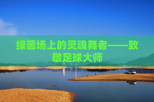 绿茵场上的灵魂舞者——致敬足球大师