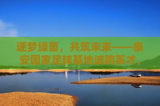 逐梦绿茵,共筑未来——泰安国家足球基地诚聘英才,期待你的加入!