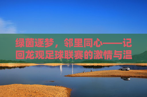 绿茵逐梦,邻里同心——记回龙观足球联赛的激情与温情