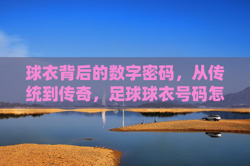 球衣背后的数字密码,从传统到传奇,足球球衣号码怎么取的?