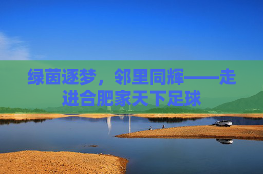 绿茵逐梦，邻里同辉——走进合肥家天下足球