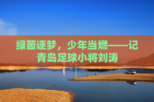 绿茵逐梦,少年当燃——记青岛足球小将刘涛