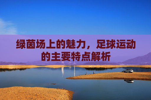 绿茵场上的魅力,足球运动的主要特点解析