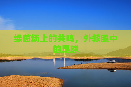 绿茵场上的共鸣,外教眼中的足球