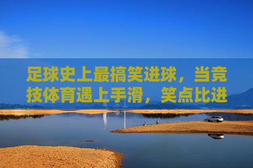 足球史上最搞笑进球，当竞技体育遇上手滑，笑点比进球还高