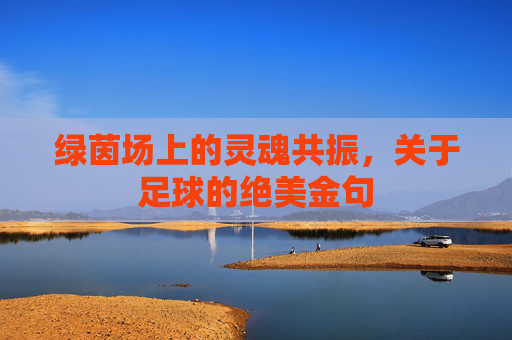 绿茵场上的灵魂共振，关于足球的绝美金句