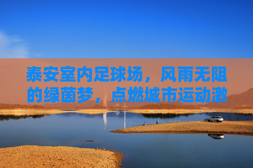 泰安室内足球场,风雨无阻的绿茵梦,点燃城市运动激情