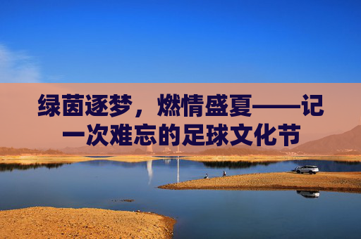 绿茵逐梦，燃情盛夏——记一次难忘的足球文化节