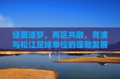 绿茵逐梦,两区共融,青浦与松江足球单位的蓬勃发展