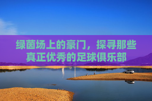 绿茵场上的豪门，探寻那些真正优秀的足球俱乐部