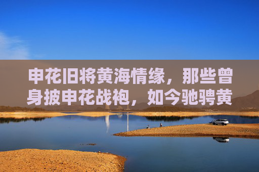 申花旧将黄海情缘,那些曾身披申花战袍,如今驰骋黄海的球员