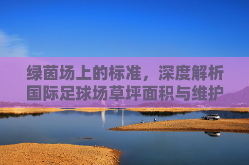 绿茵场上的标准，深度解析国际足球场草坪面积与维护